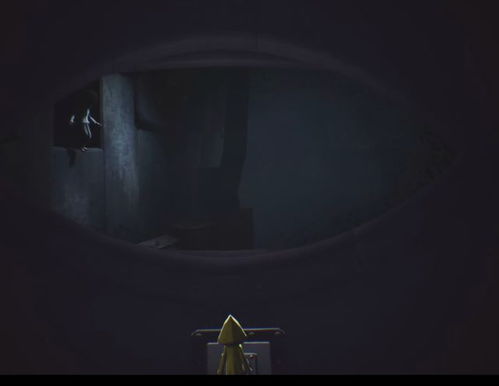 little nightmares 2 co op,What is Little Nightmares 2 Co-op?