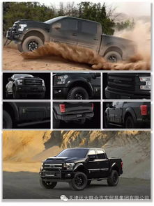 black ops f 150,Black Ops F-150: A Detailed Multi-Dimensional Introduction