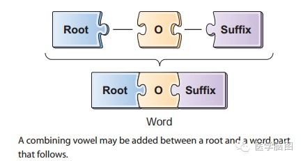 post op meaning medical,Understanding the Post-Op Meaning in Medical Contexts