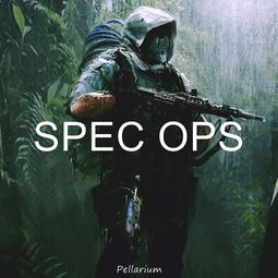 spec ops:,Understanding Spec Ops: A Comprehensive Guide