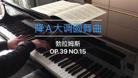 brahms op 39 no 15,Brahms Op. 39 No. 15: A Detailed Exploration