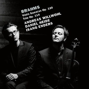 brahms viola quintet op 111,Brahms Viola Quintet Op. 111: A Detailed Multidimensional Introduction